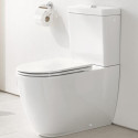 Sisseehitatud WC GROHE Essence põrand kaanega
