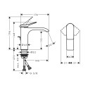 Washbasin faucet with bottom valve HANSGROHE Vivenis 110, 75020670