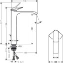 Washbasin faucet with bottom valve HANSGROHE Vivenis 250, 75040000