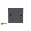 Tinklo sąsaja AllyTM DANFOSS Icon2™