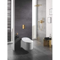 Potinkinis WC rėmas (5 in 1) yra išmanus pakabinamas unitazas GROHE Sensia Arena Rimless su bidė