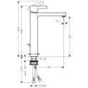 Praustuvo maišytuvas HANSGROHE Metris S, 31022000