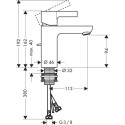 Izlietnes jaucējkrāns HANSGROHE Metris S, 31060000