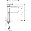 Valmusegisti HANSGROHE Metris 260, 31082000