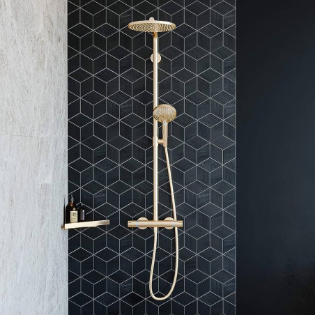 Termostatinė lietaus dušo sistema HANSGROHE Raindance Select S Showerpipes 240 1jet, 27633140
