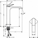 Valmusegisti HANSGROHE Vivenis 250, 75042700