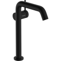 Valmusegisti HANSGROHE Tecturis S 240, 73370670