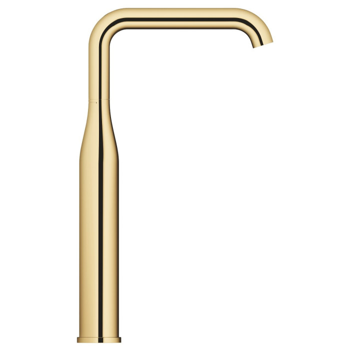 Praustuvo maišytuvas GROHE Essence XL, 24170GL1