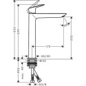 Izlietnes jaucējkrāns HANSGROHE Logis 240, 71258670