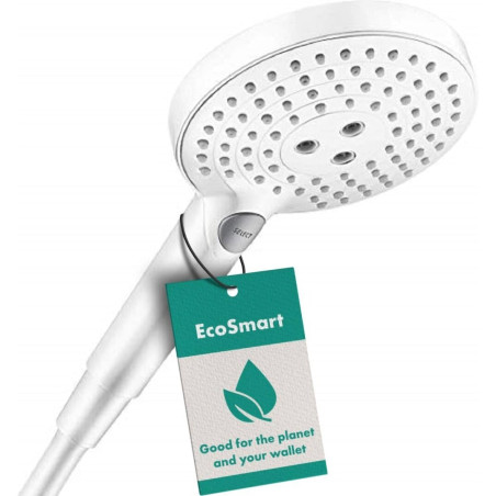 Душевая лейка HANSGROHE Raindance Select S 120 Ecosmart, 26531700
