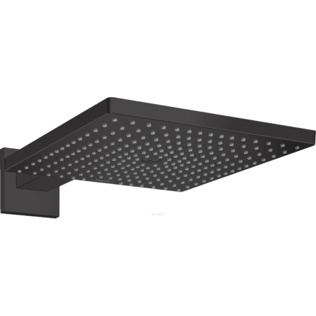 Dušo galvutė HANSGROHE Raindance E 1jet, 26238670