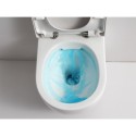 Peatatud WC GROHE Euro Ceramic Rimless Compact istmega softclosing katetest