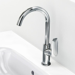 Virtuvė (plautuvės) maišytuvas HANSGROHE Logis 71130000