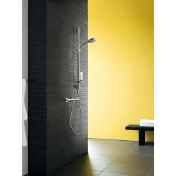 Thermostatinis maišytuvas showeri HANSGROHE Ecostat Comfort, 13116000