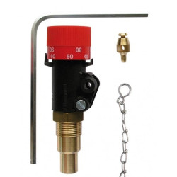 Termostats katlā konteineru regulatorā HONEYWELL FR124-3/4A