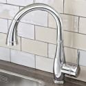 Kitchen (washbasin) faucet with retractable beak GROHE Parkfield, 30215001