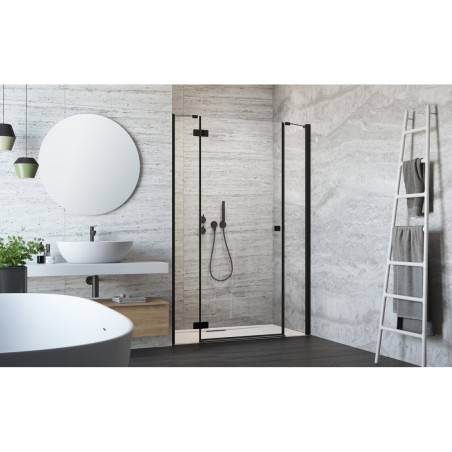 Душевая дверь radaway Essenza New Black DWJS