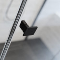 Душевая дверь radaway Essenza New Black DWJS