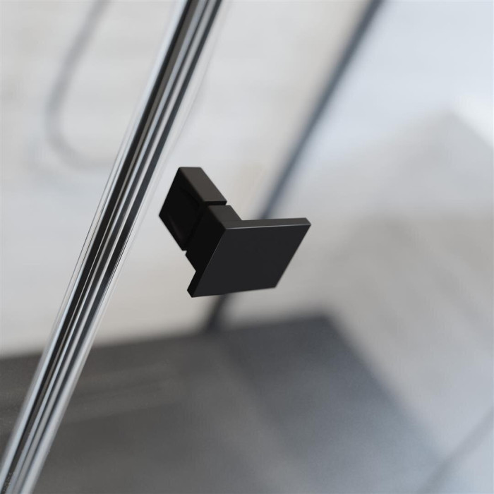 Душевая дверь radaway Essenza New Black DWJS